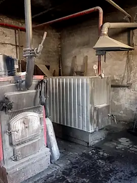 MityaXLoves online show from 04-05-26, 05:59