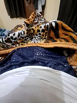 Snapshot of villagb12 chatting on 12-25-24, 07:24 villagb12 online show from 12-25-24, 07:24