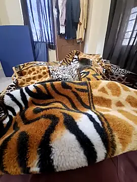 villagb12 online show from 02-13-25, 06:09