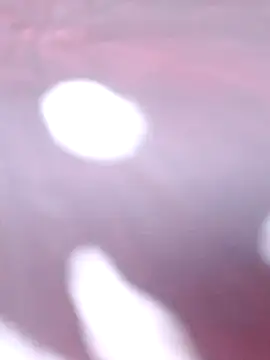 Snapshot of Priya_Bong chatting on 12-16-25, 02:27 Priya Bong online show from 12-16-25, 02:27