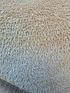 Snapshot of Priya_Bong chatting on 01-15-26, 04:06 Priya Bong online show from 01-15-26, 04:06