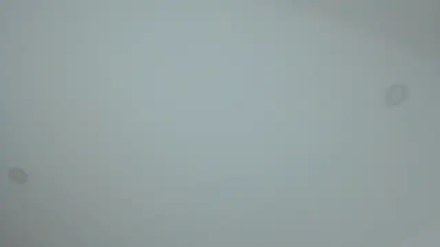 dollface17 online show from 01-30-25, 11:55