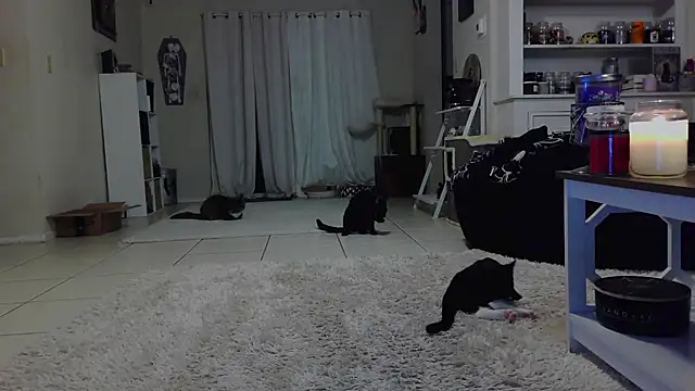 Snapshot of CrystalLakeXO chatting on 10-19-25, 07:42 CrystalLakeXO online show from 10-19-25, 07:42