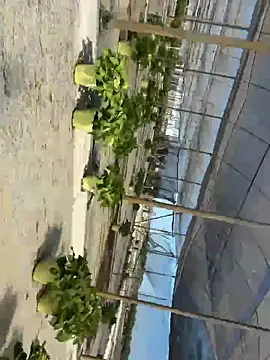 Jose rz online show from 05-02-26, 08:03