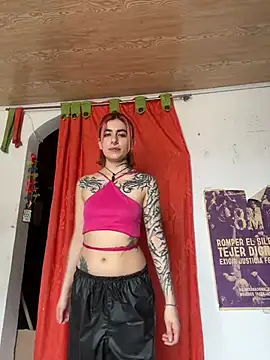 Snapshot of _Artemisa_X chatting on 02-20-25, 06:57 Artemisa X online show from 02-20-25, 06:57