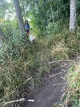 Reinacatchile online show from 01-31-25, 11:24