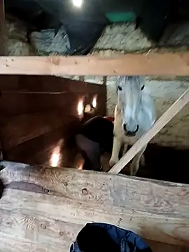 Tortuga95PL online show from 02-12-26, 10:54