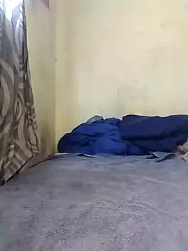 Stallion100 online show from 12-20-24, 06:40