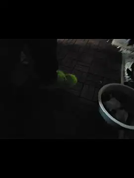 Snapshot of 0815lukas2024 chatting on 11-16-25, 11:54 0815lukas2024 online show from 11-16-25, 11:54