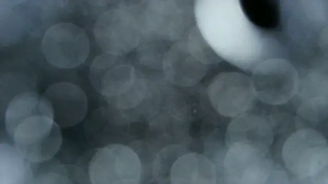 0815lukas2024 online show from 12-22-25, 03:58