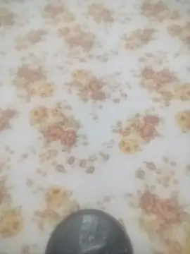 Snapshot of Working- chatting on 01-19-26, 12:09 Working- online show from 01-19-26, 12:09