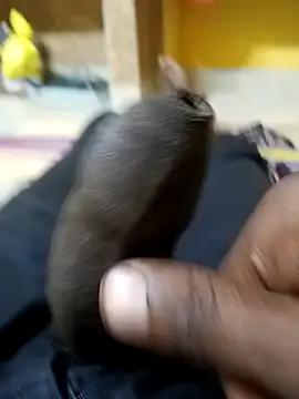 Tamil boy age28 online show from 12-20-25, 03:35