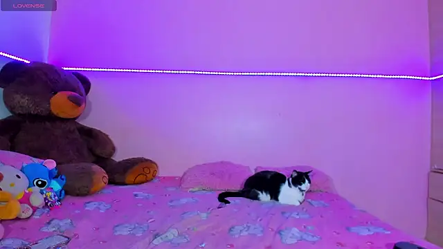 Canndy88htxx online show from 12-02-25, 12:49