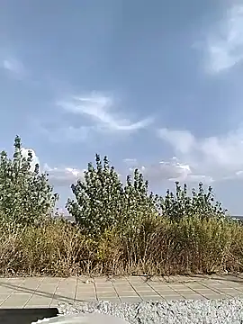 Snapshot of cuplubijoanna chatting on 09-20-25, 04:52 cuplubijoanna online show from 09-20-25, 04:52