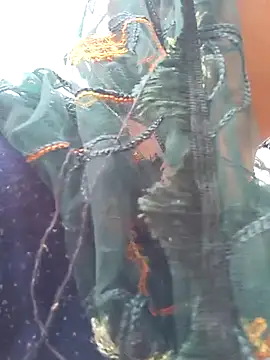 Snapshot of Simaran_bhabhi chatting on 03-16-25, 04:09 Simaran bhabhi online show from 03-16-25, 04:09