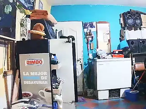 DiAntool online show from 01-18-26, 05:44