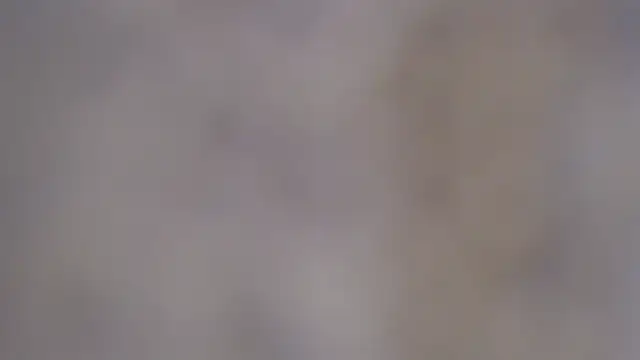 paiper halliwey online show from 02-08-25, 12:50