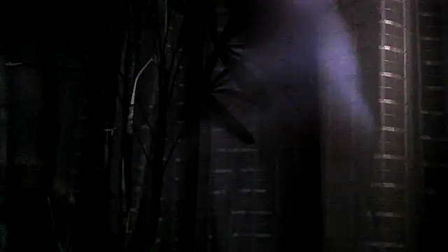 funguybr36 online show from 09-19-25, 11:00