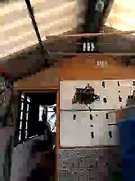 rebekka simpson online show from 03-09-25, 08:10