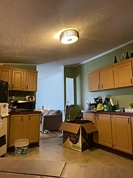 velvetta  online show from 12-22-24, 04:17