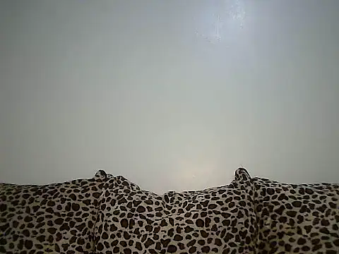 Toxique  online show from 12-19-25, 03:30