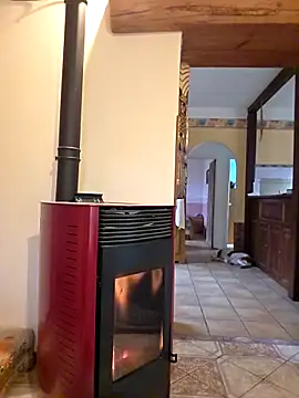 SpiceLea online show from 03-03-26, 08:31