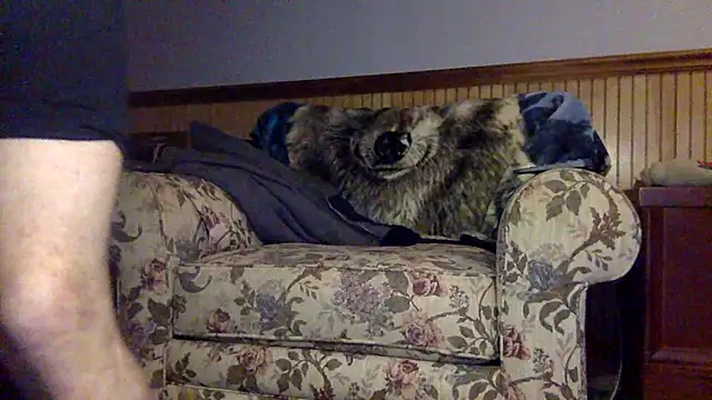 tongueispowerr6d9 online show from 03-03-26, 02:18