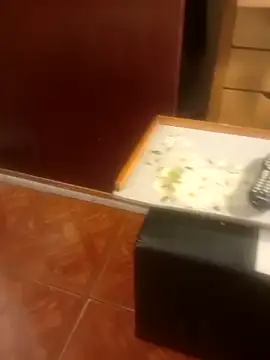 jmliimonsito online show from 04-03-26, 11:36