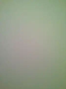 Snapshot of Lovensetest chatting on 06-29-26, 05:57 Lovensetest online show from 06-29-26, 05:57