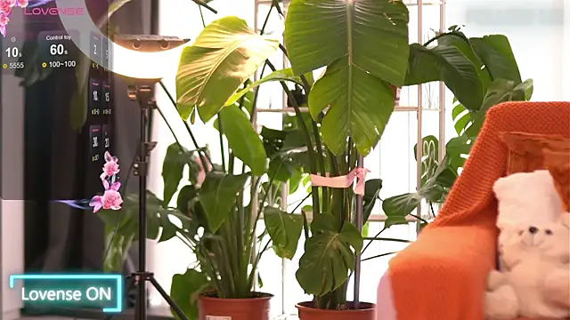 Snapshot of EmilyRaymont chatting on 10-18-25, 08:04 EmilyRaymont online show from 10-18-25, 08:04