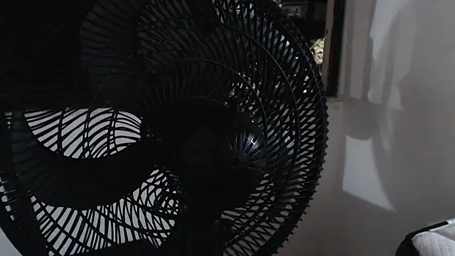 harry greg21 online show from 11-15-25, 01:58