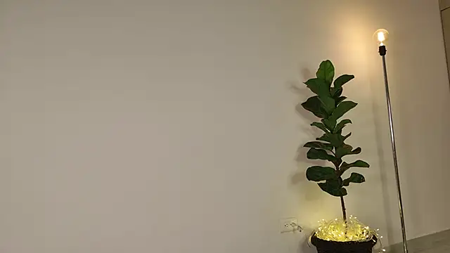 lady ni  online show from 12-17-25, 12:22