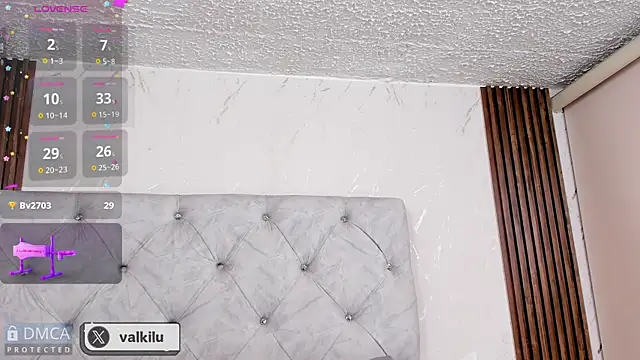 Snapshot of valkilu11 chatting on 01-18-25, 02:14 valkilu11 online show from 01-18-25, 02:14