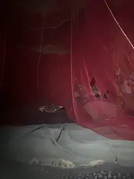 amy gata online show from 02-17-26, 08:55