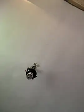 Brando2585 online show from 04-03-26, 01:42