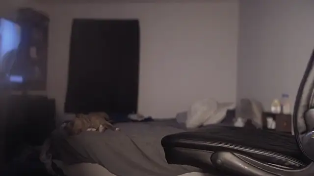 Snapshot of flexingplexico chatting on 03-01-25, 11:17 flexingplexico online show from 03-01-25, 11:17