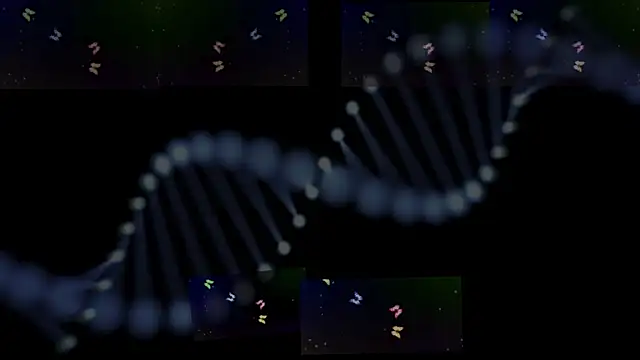 OwenBluee online show from 01-29-25, 09:33