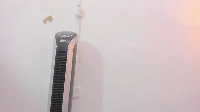 Snapshot of penelope_handaos chatting on 12-12-24, 05:31 penelope handaos online show from 12-12-24, 05:31