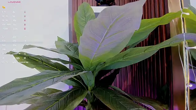 Snapshot of Anybuny chatting on 01-20-25, 11:35 Anybuny online show from 01-20-25, 11:35