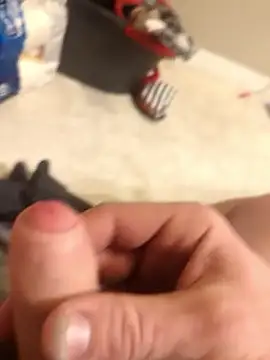 Snapshot of Bolo23693 chatting on 02-08-25, 01:11 Bolo23693 online show from 02-08-25, 01:11