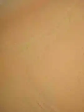 Snapshot of mazwo chatting on 03-24-26, 08:14 mazwo online show from 03-24-26, 08:14