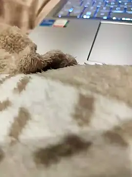 Snapshot of Bemgalado chatting on 01-03-25, 08:22 Bemgalado online show from 01-03-25, 08:22