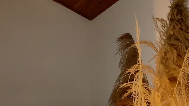 SaraFerreira online show from 12-12-24, 11:47