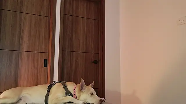 Snapshot of Hot_Couple666 chatting on 09-09-25, 01:49 Hot Couple666 online show from 09-09-25, 01:49