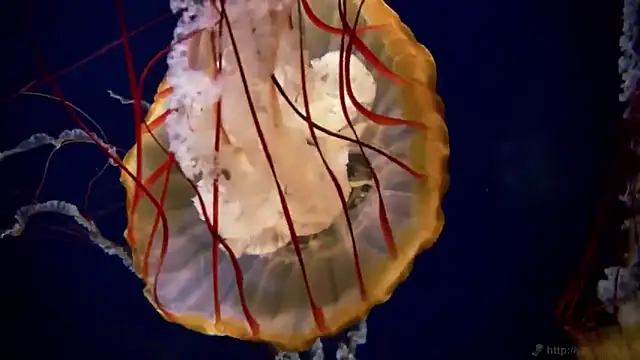 Snapshot of streamy_test12 chatting on 11-18-25, 03:27 streamy test12 online show from 11-18-25, 03:27