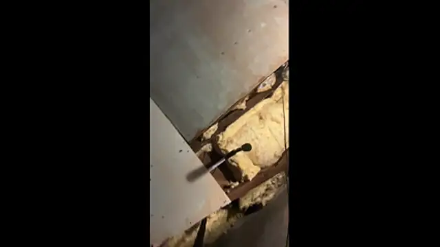 Manwhorxxlcock online show from 03-03-26, 10:32