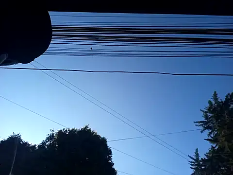 Snapshot of weedmanhot28 chatting on 01-30-25, 12:48 weedmanhot28 online show from 01-30-25, 12:48