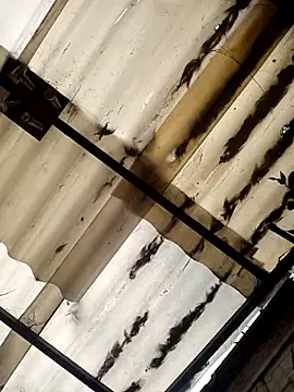 Snapshot of weedmanhot28 chatting on 11-02-25, 12:51 weedmanhot28 online show from 11-02-25, 12:51