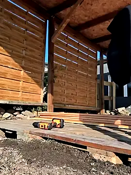 Linalicious online show from 03-21-25, 08:06