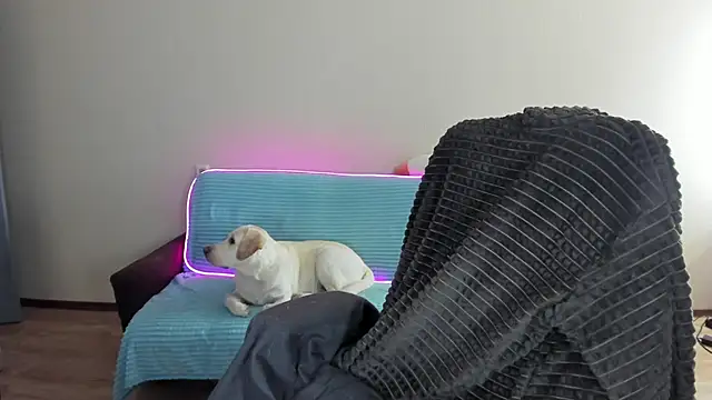 Liam sexy1 online show from 12-20-24, 08:06